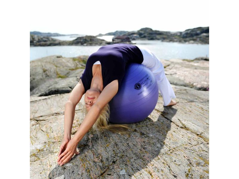 Sissel Securemax Ball