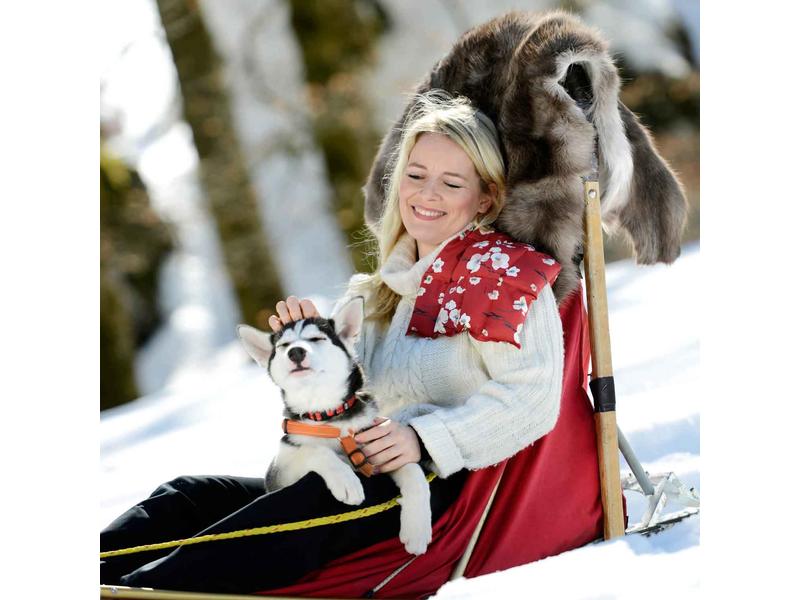 Sissel Linum Classic, blossom