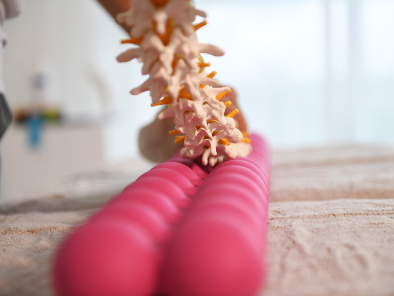 SISSEL Spinefitter pink Hero Edition