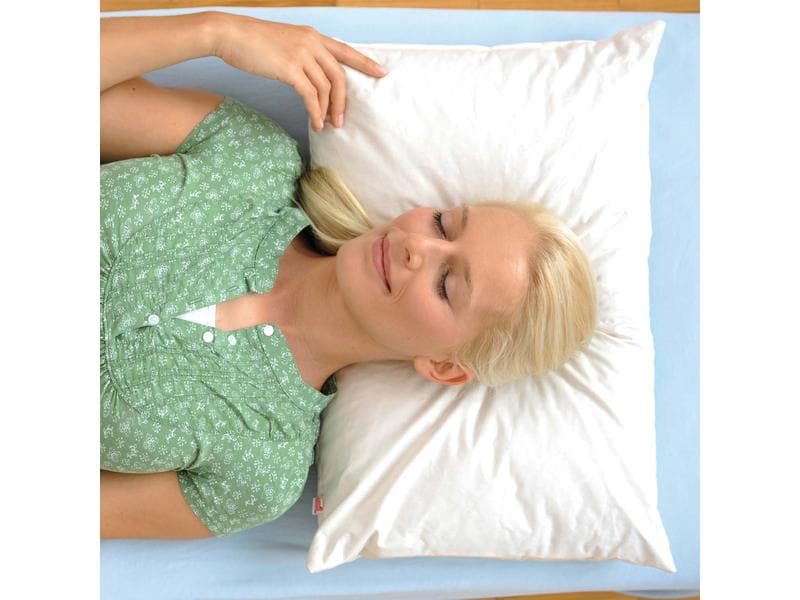 Sissel Panicore Hirsekissen