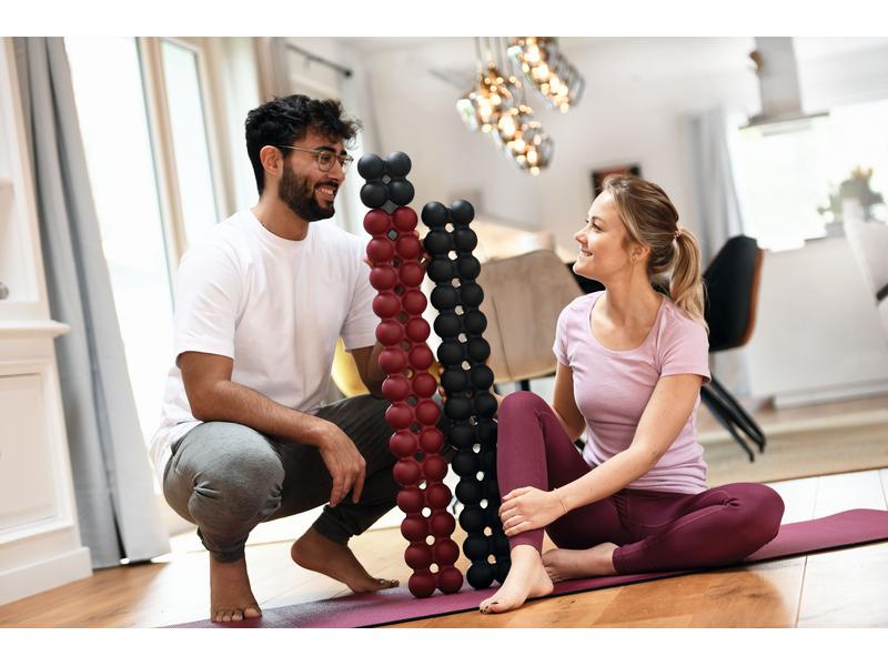 SISSEL Spinefitter Mini anthrazit